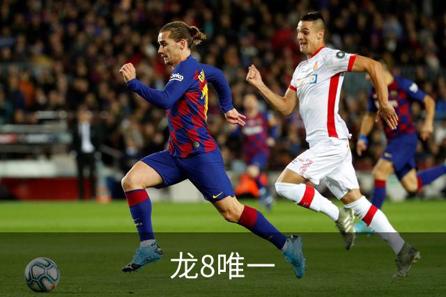 龙8唯一公司简介